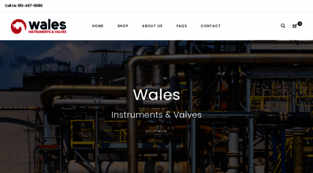 walesinst.com