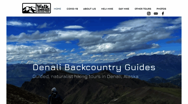 walkdenali.com