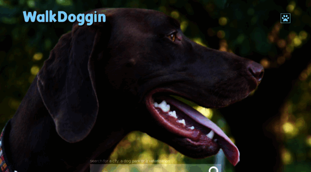 walkdoggin.com