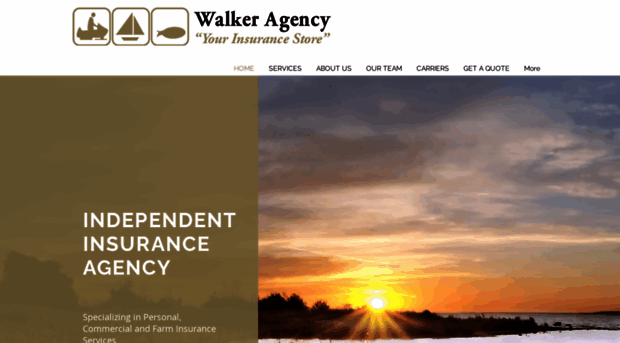 walkeragencyinsurance.com