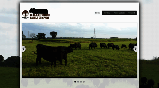 walkerwoodcattlecompany.com