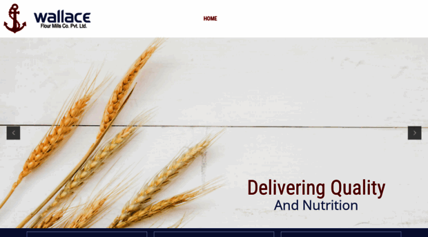 wallaceflourmills.in