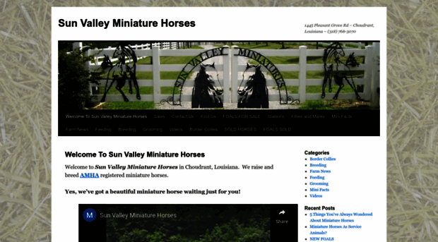 wallersminihorses.com