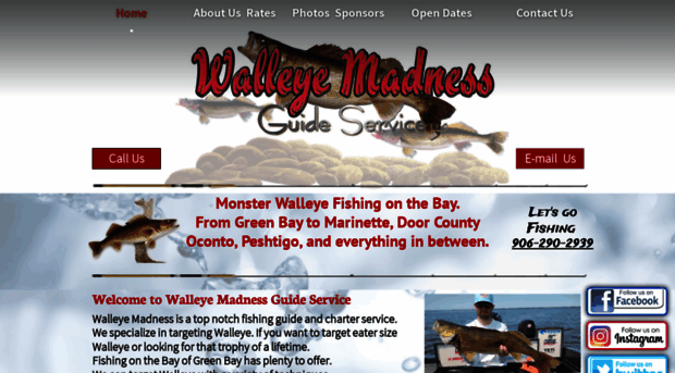 walleyemadnessfishing.com