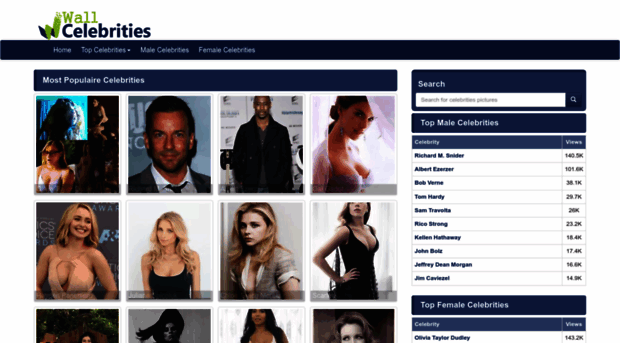 wallofcelebrities.com