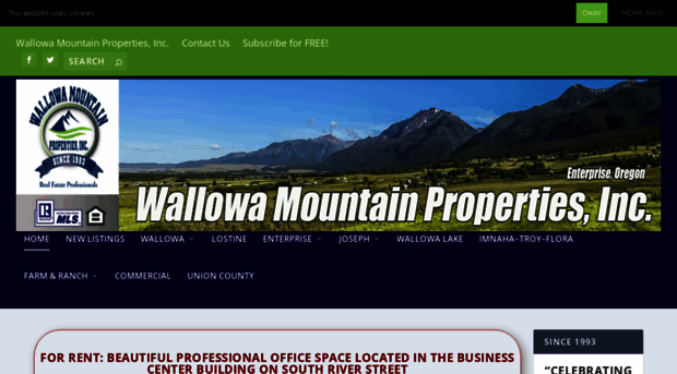 wallowamountainproperties.com