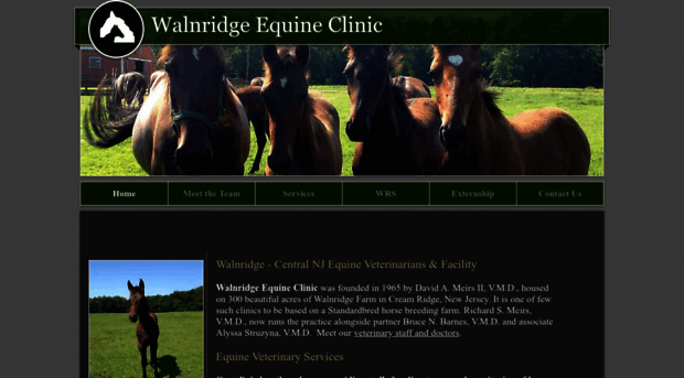 walnridgeequineclinic.com