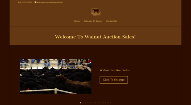 walnutauctionsales.com