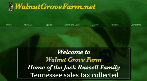 walnutgrovefarm.net