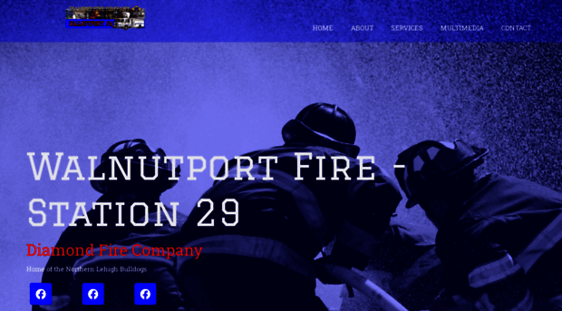 walnutportfire.com