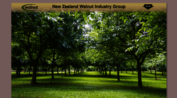 walnuts.org.nz