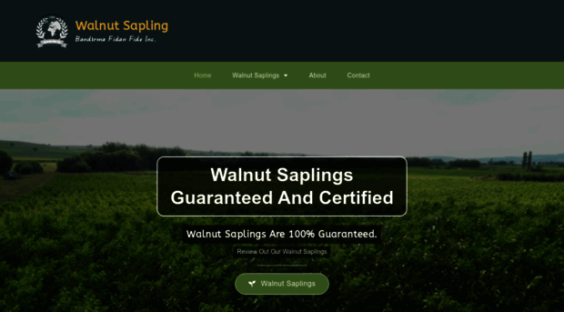 walnutsapling.com