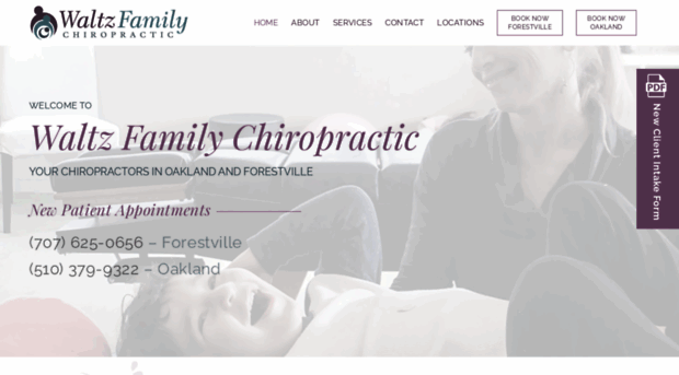 waltzfamilychiropractic.com