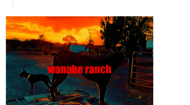 wanaberanch.com