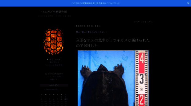 wanigame.exblog.jp