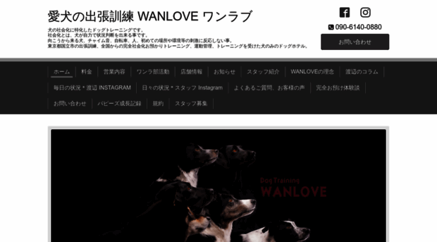wanlove.com