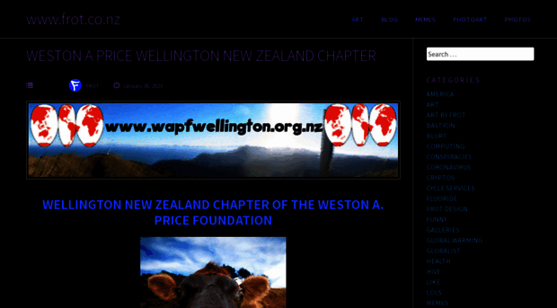 wapfwellington.org.nz