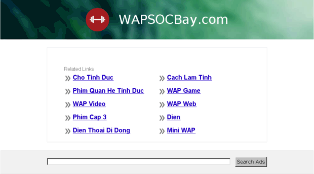 wapsocbay.com