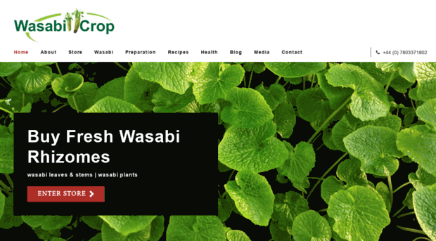 wasabicrop.com