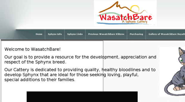 wasatchbare.com