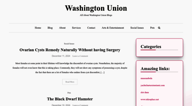 washington-union.com