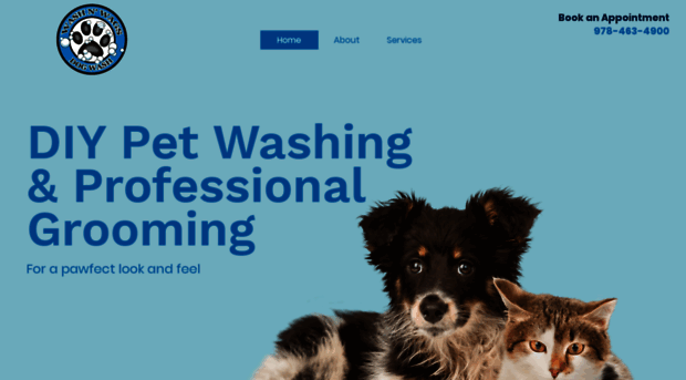 washnwags.com