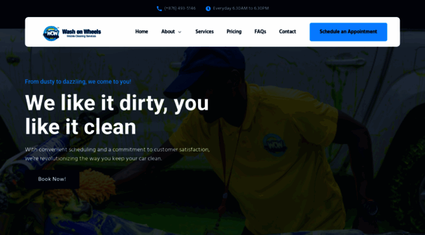 washonwheelsja.com