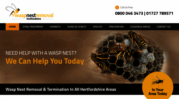 waspnestremovalhertfordshire.co.uk
