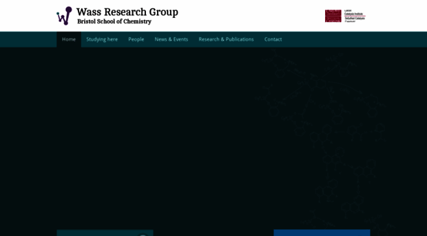 wassresearchgroup.com