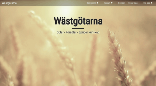 wastgotarna.hosterspace.com