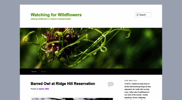 watchingforwildflowers.com