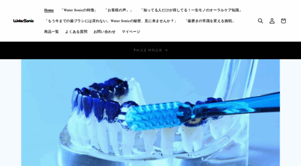 water-sonic.com