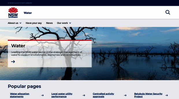 water.dpie.nsw.gov.au