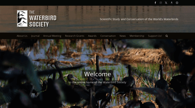 waterbirds.org