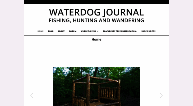 waterdogjournal.com