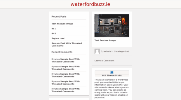 waterfordbuzz.ie