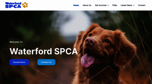 waterfordspca.ie