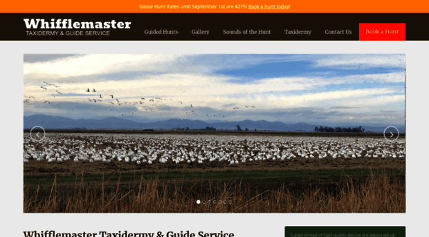 waterfowl-taxidermy.com