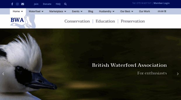 waterfowl.org.uk