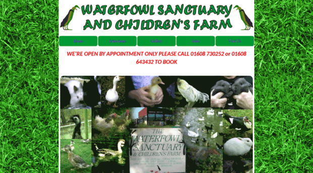 waterfowlsanctuary.co.uk