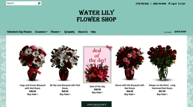 waterlilyflowers.com