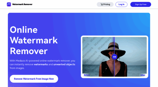 watermarkremover.media.io