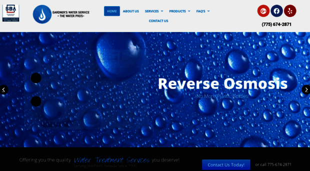 waterprosnv.com