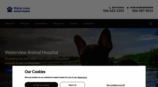 waterviewanimalhospital.com