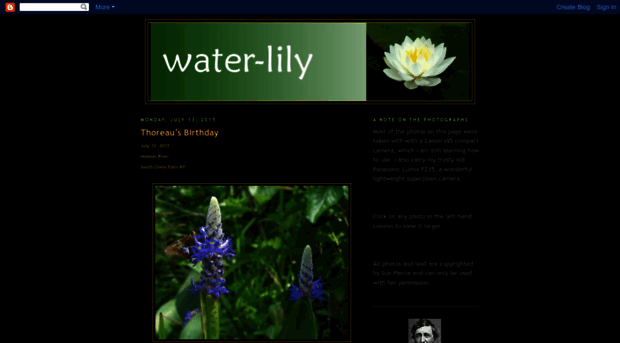 watrlily.blogspot.com