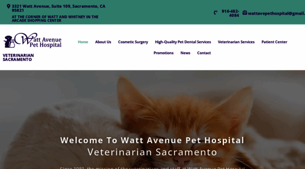 wattavenuepethospital.com