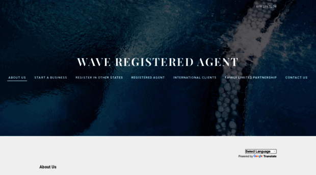 waveregisteredagent.com