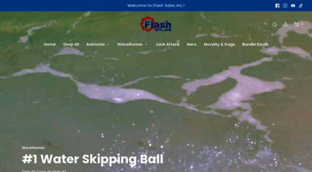 waverunnerball.com