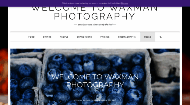 waxmanphotography.com