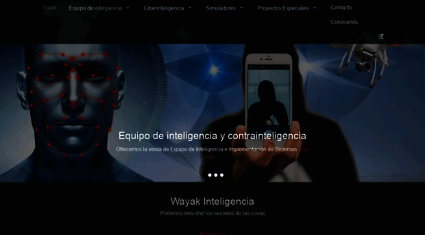 wayakinteligencia.com